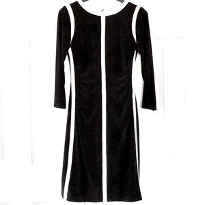 Ralph Lauren Green Label Racing Heavy Lined Dress